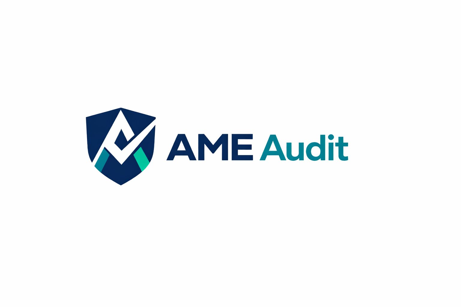 AME AUDIT